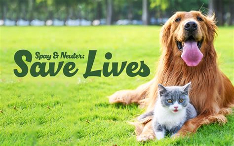 PetSmart's 10,000+ Spay and Neuter Procedures Save Countless Lives