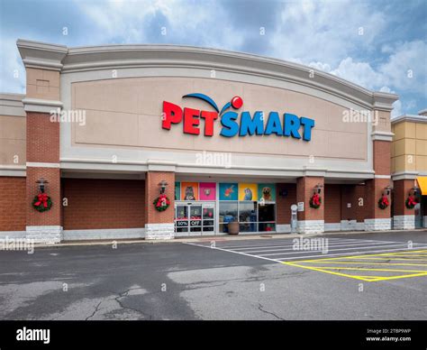 PetSmart's Dominance in New York State: A Comprehensive Analysis