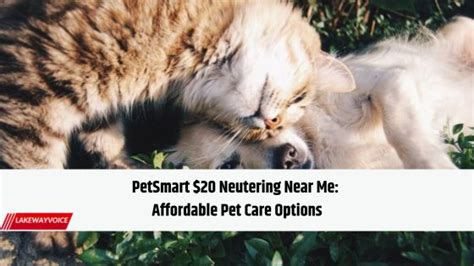 PetSmart $20 Neutering Near Me: Everything You Need to Know