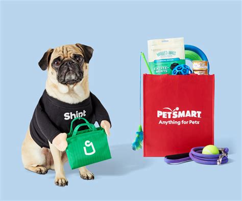 PetSmart Early Morning Stocker Hours: 5 Intriguing Facts