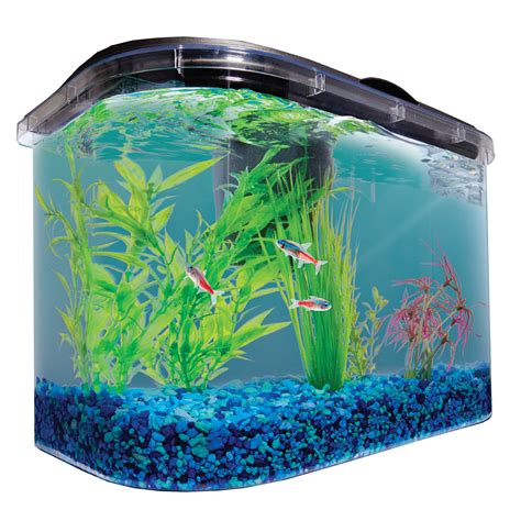 Petco Aquariums: Your Gateway to Underwater Adventures