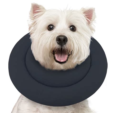 Petco Cone Collar: The Essential Guide to Protecting Your Pet's Well-Being