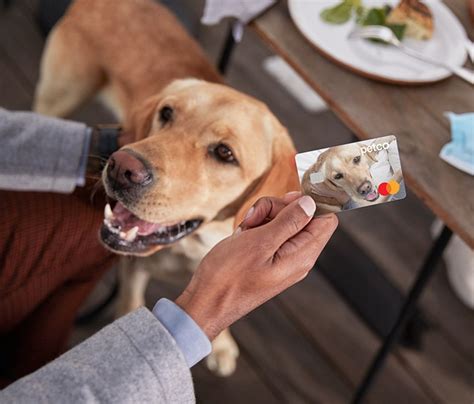 Petco Pay Credit Card: Unlock Exclusive Perks for Pet Owners!