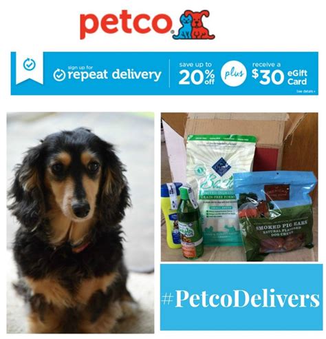 Petco Repeat Delivery: Unlocking Convenience and Savings for Pet Owners