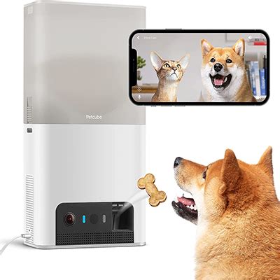 Petcube Smart Feeder 2025 Review: The Future of Pet Feeding