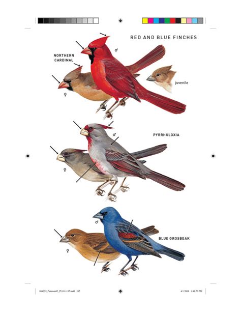 Peterson Field Guide to Birds of North America Kindle Editon