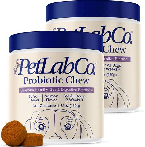 Petlab Digestive Supplements vs Other Leading Brands