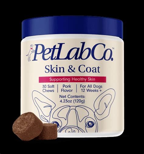 Petlab Skin and Coat Supplements: Comparison Guide for 2025