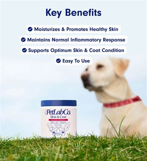 Petlab skin and coat supplement benefits