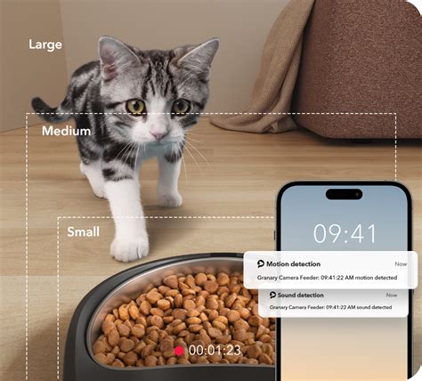 Petlibro Pet Camera Features: 5 Standout Perks for 2025