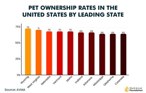 Petmate vs. 2025: The Battle for Pet Ownership Dominance