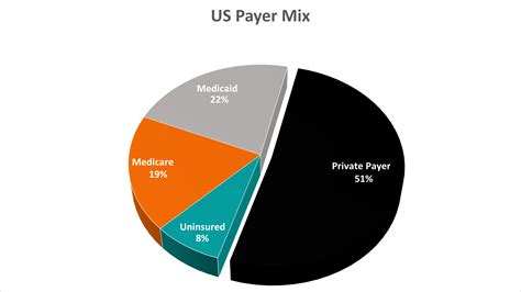 Petnet vs. Traditional Pet Care: An In-Depth Comparison for 2025