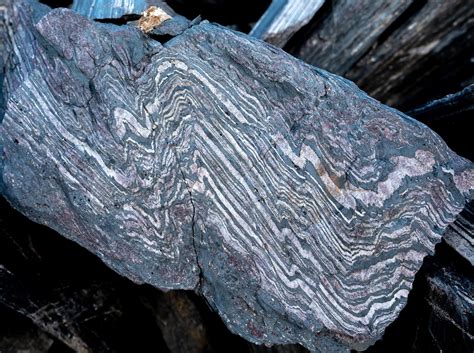 Petrified Black Wood: A 2.3-Billion-Year-Old Marvel with Unparalleled Applications