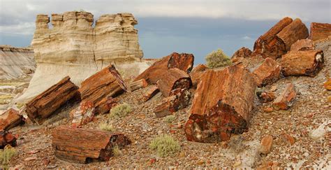 Petrified Forest National Park, Arizona: