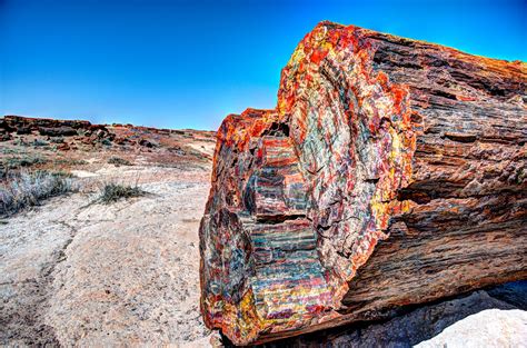 Petrified Forest National Park (Arizona):