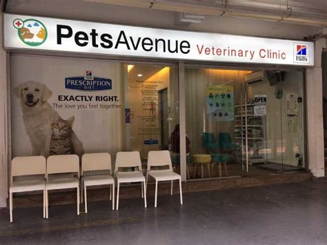 Pets Avenue Veterinary Clinic: 24/7 Round-the-Clock Care and Compassion in Farrer Road