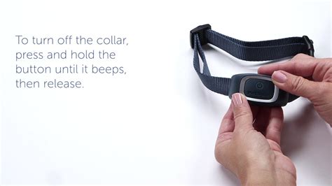 Petsafe Shock Collars: A Comprehensive Guide for Responsible Pet Owners