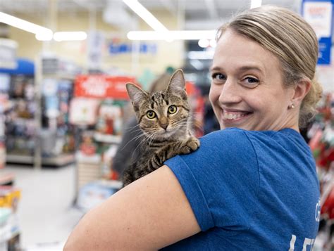 Petsmart Adopt a Cat: 4 Things to Consider Before Making a Decision