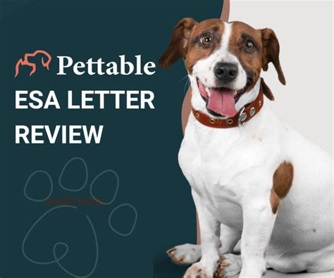 Pettable ESA Letter Cost: Everything You Need to Know in 10K+ Chars