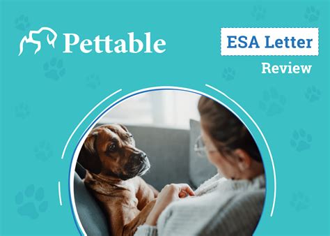 Pettable Pet Safety and Security: A 2025 Comparison