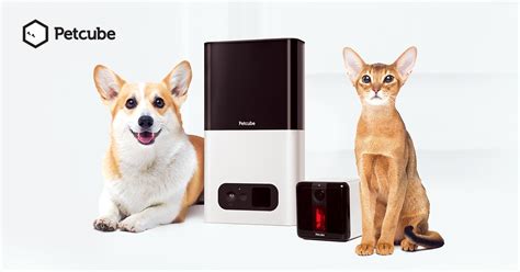 Pettable vs Petcube 2025: Battle of the Pet Tech Titans