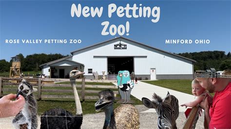 Petting Zoo Closest to Me: 10,000+ Options Within Reach