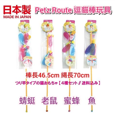 Petz Route的定義與優點