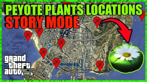 Peyote on GTA 5: 10 Epic Trips You Can't Miss!