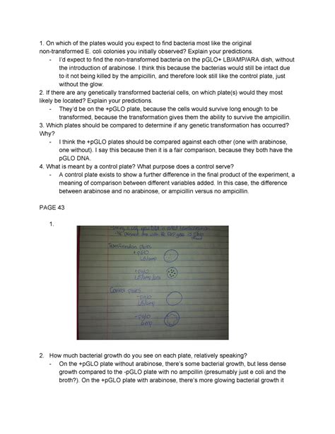 Pglo Transformation Answers Doc