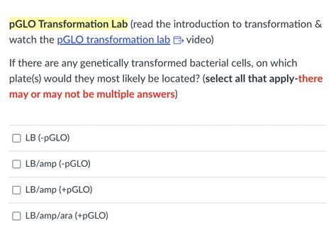 Pglo Transformation Answers Doc