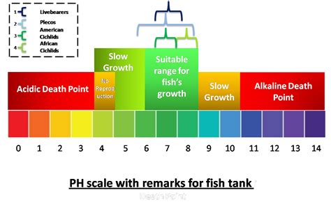 Ph Fish Tank Chart
