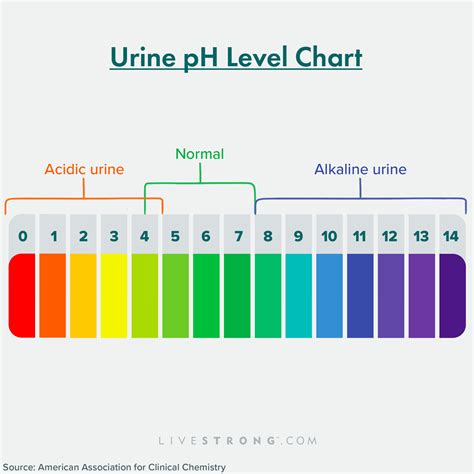 Ph Urine Chart