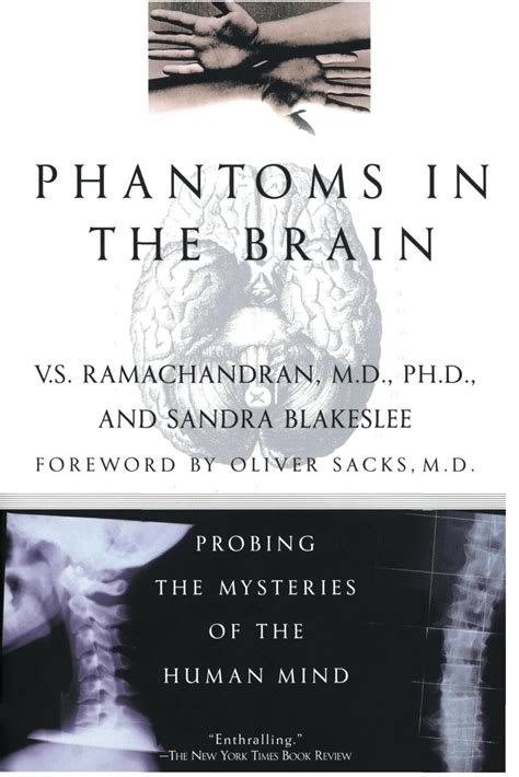 Phantoms in the Brain Probing the Mysteries of the Human Mind PDF