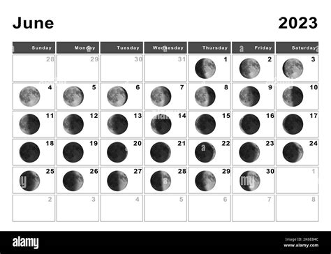 Phase 1 (23rd-29th June 2023)