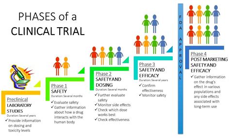 Phases of Clinical Trials PPT: Unlock the Secrets of Drug Development