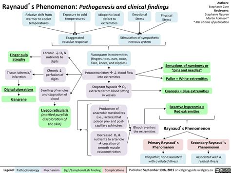 Phatasskitty: A Comprehensive Guide to Understanding and Engaging with the Phenomenon