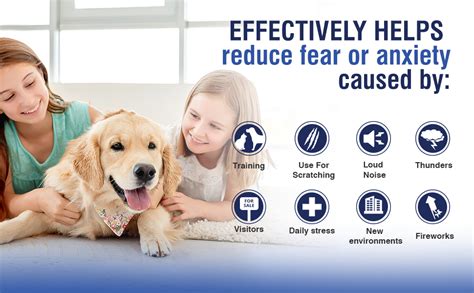 Pheromone-Based Pet Anxiety Relief VS Medication: 2025 Guide