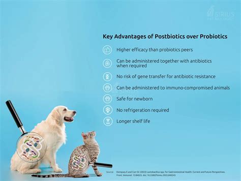 Pheromones: The Next-Generation Pet Health Solution for 2025