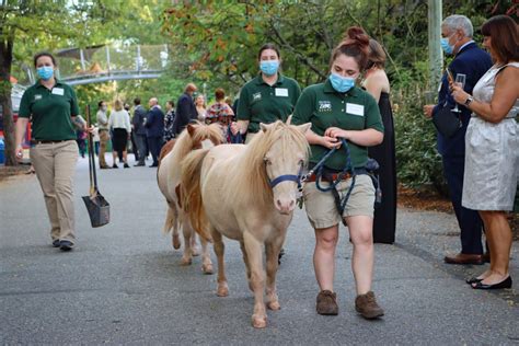 Philadelphia Zoo Careers: A World of Conservation, Education, and Animal Welfare