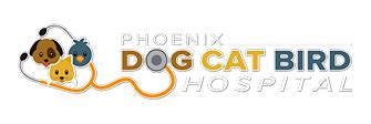 Phoenix Dog, Cat, Bird Hospital: Your Trusted Companion in Pet Health