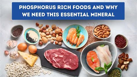 Phosphorus: The Essential Nutrient