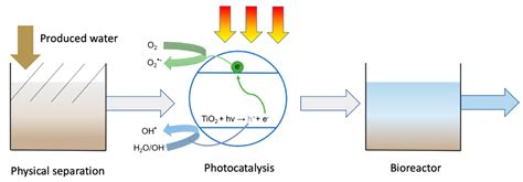 Photocatalysis and Water Purification Reader