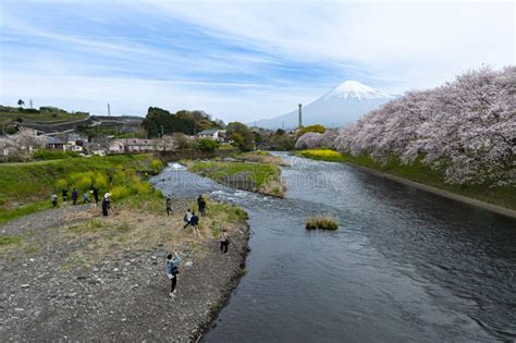 Photographing in the Present Tense: Capturing the Beauty of Today