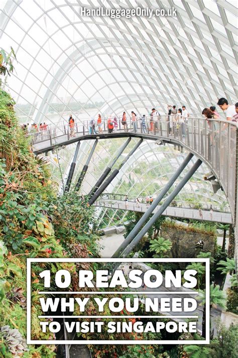 Photography Course Singapore: 10 Reasons You Need It!