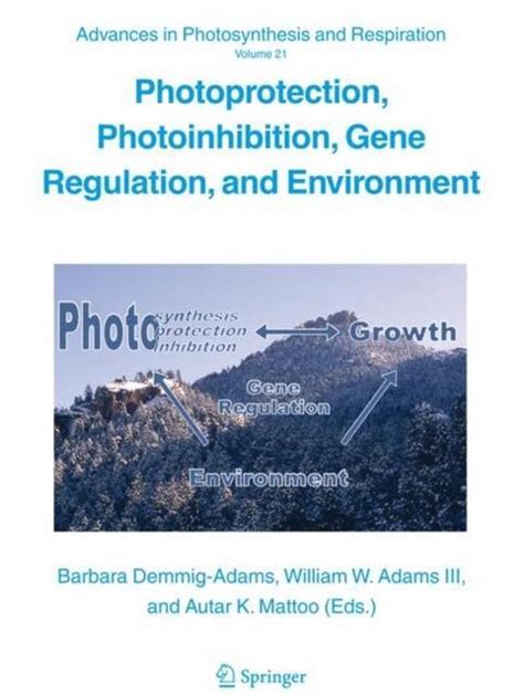 Photoprotection, Photoinhibition, Gene Regulation, and Environment 1st Edition Reader