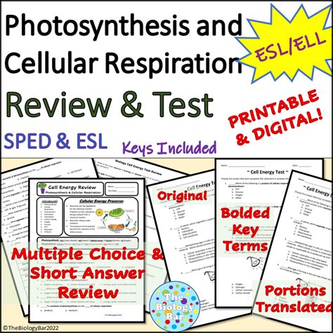 Photosynthesis And Cellular Respiration Biology Review Answers Kindle Editon