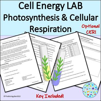 Photosynthesis And Cellular Respiration Lab Answers Epub