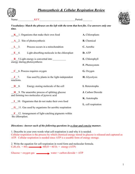 Photosynthesis Cellular Respiration Review Answers Epub