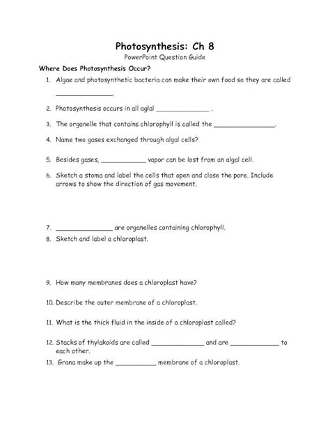 Photosynthesis Powerpoint Question Guide Answers Ebook Doc