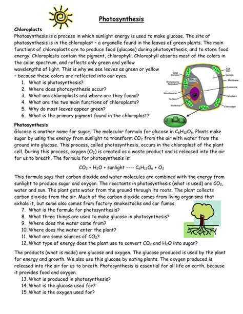 Photosynthesis Review Answer Key Kindle Editon